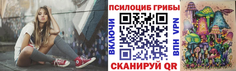 нарко площадка формула  Новочеркасск  Галлюциногенные грибы Psilocybine cubensis 
